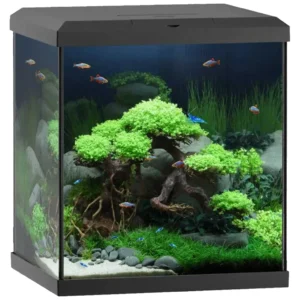 Juwel akvarijum vio cube 54 - Komplet kocka akvarijum