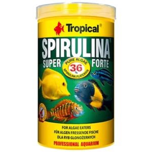 Tropical super spirulina forte - Vrhunska biljna hrana sa 36% spiruline